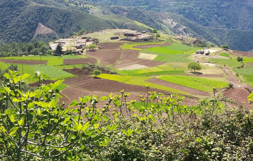 Randonnée EL QALAA (Disponible toute l’année) en deux journées