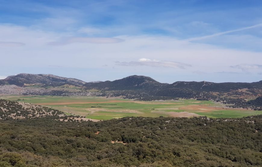 Randonnée EL QALAA (Disponible toute l’année) en une journée