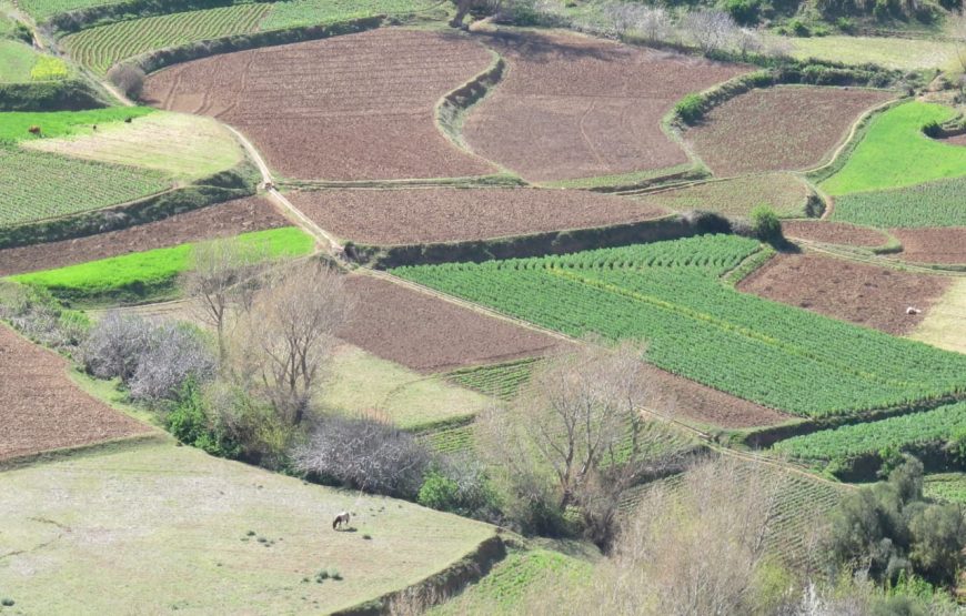 Randonnée SIDI MAJBER (Disponible toute l’année) en deux journées