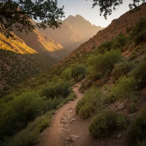 Sentiers de randonnée Parc National Tazekka