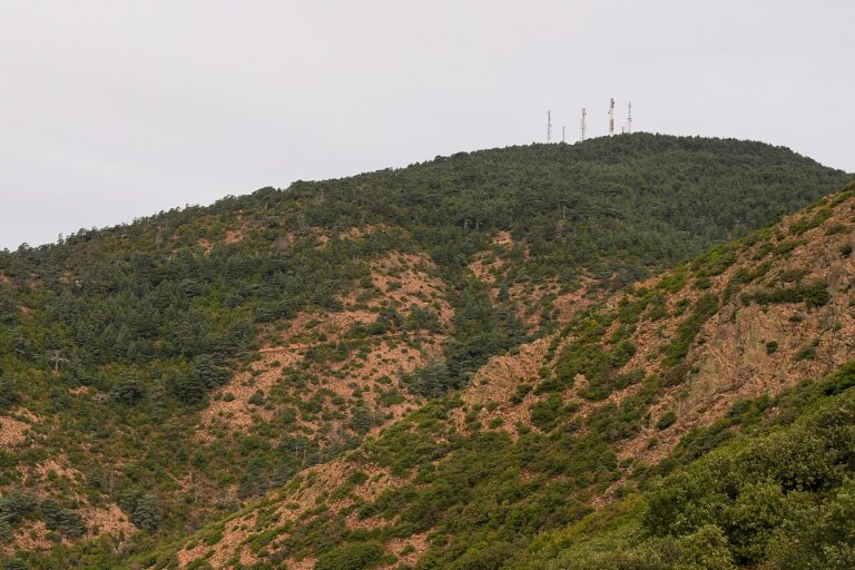Parc National Tazekka, Maroc